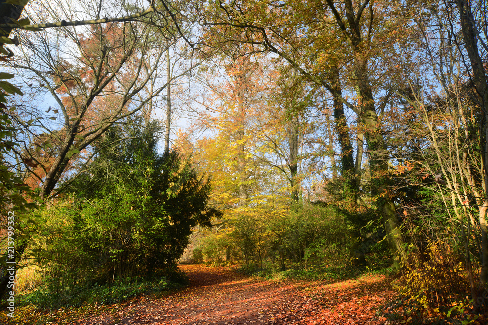 Fototapeta premium Landschaft 480