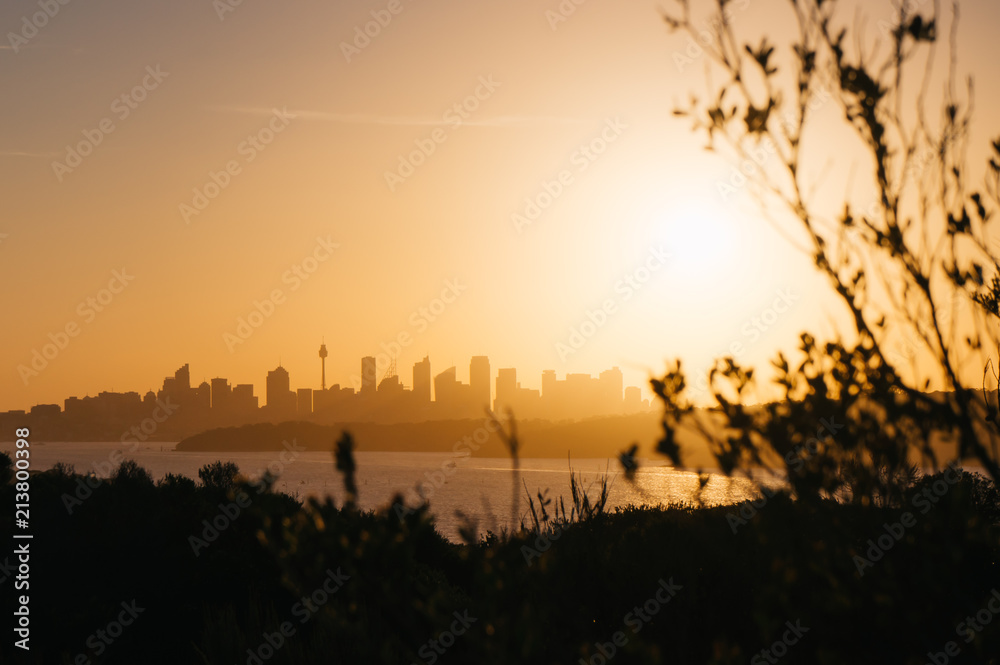 Sydney sunset