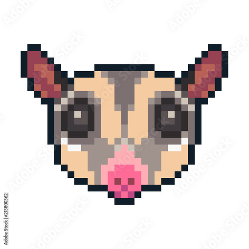 Pixel art sugar glider icon isolated on white background.