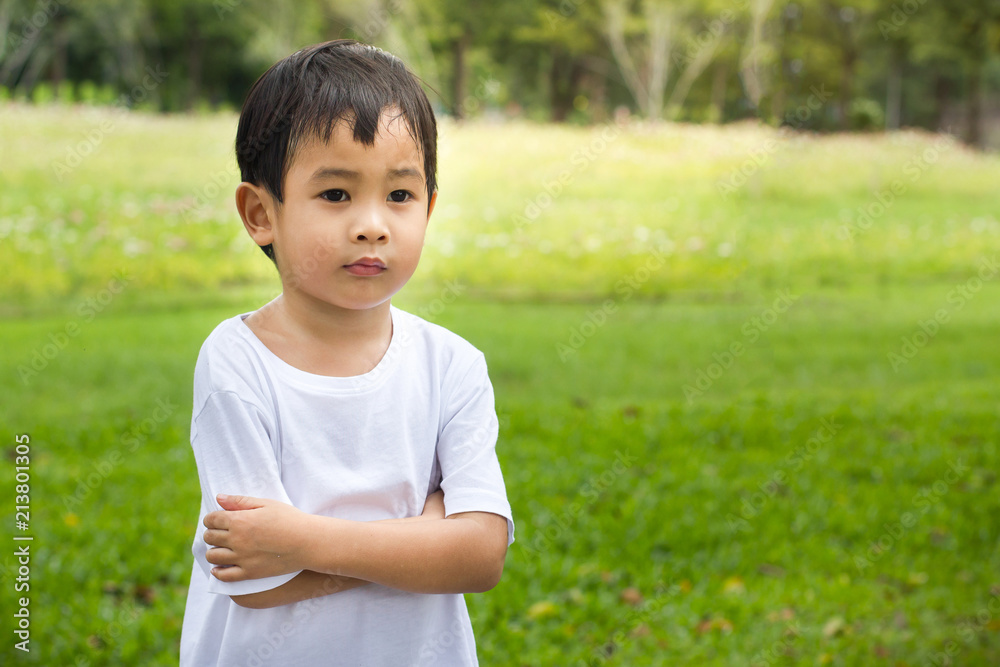 Portrait of a beautiful asian boy in the park, standing with arms crossed with copy space image. Portrait of a beautiful asian boy in the park, standing with arms crossed with copy space image.