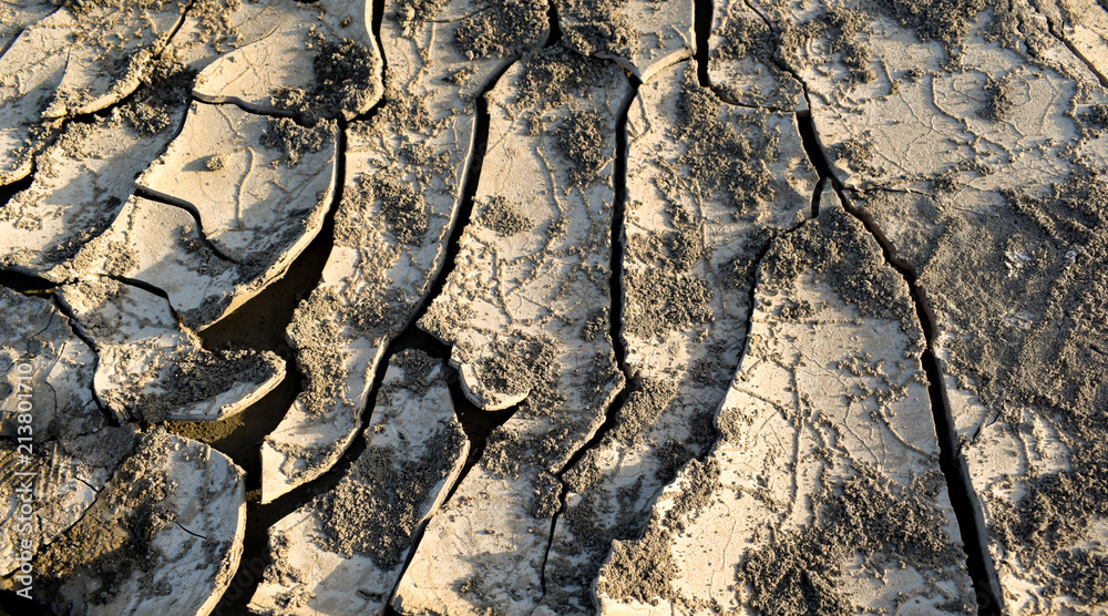 Fototapeta premium Closeup surface of cracked dry soil background.