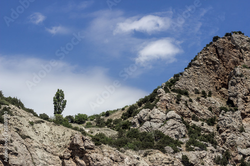 Black sea coast