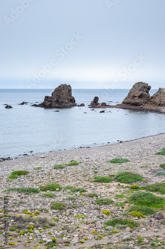 Beach with rocks in the background