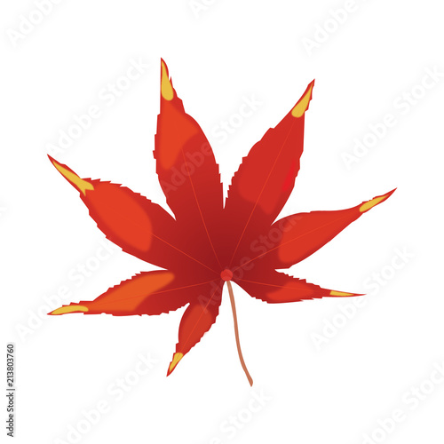 Rotes Ahornblatt