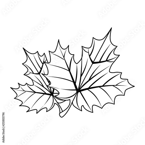 grape leafs isolated icon