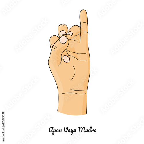 Apan Vayu Mudra / Lifesaver Gesture. Vector.