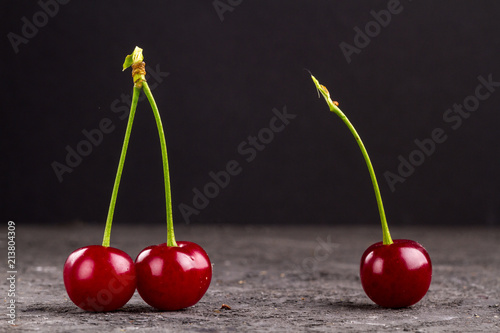 Cherry on a branch on a black background photo