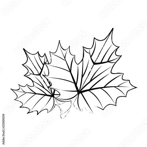 grape leafs isolated icon