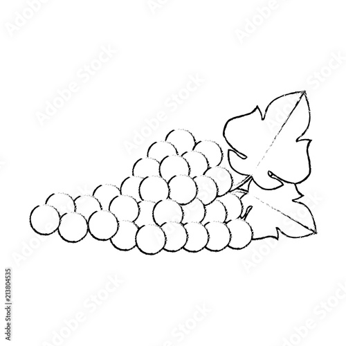 grapes cluster isolated icon