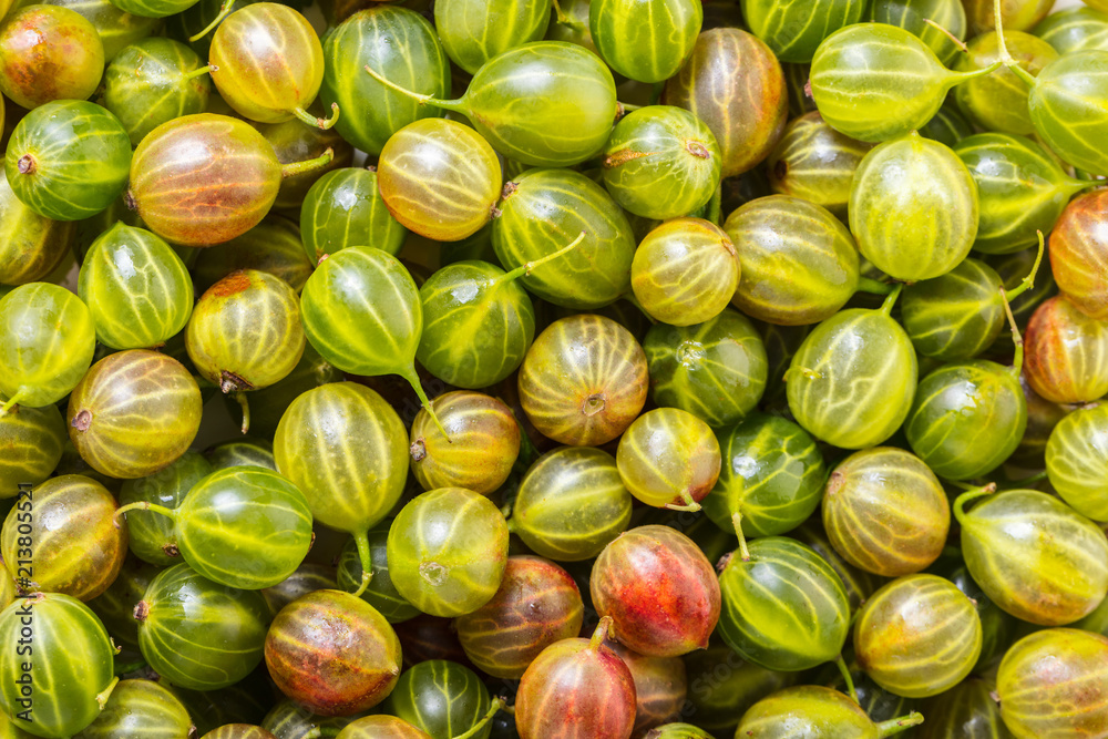 texture of berries gooseberries texture of berries gooseberries