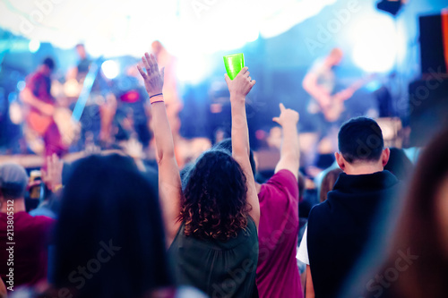 crowd at concert - music festival