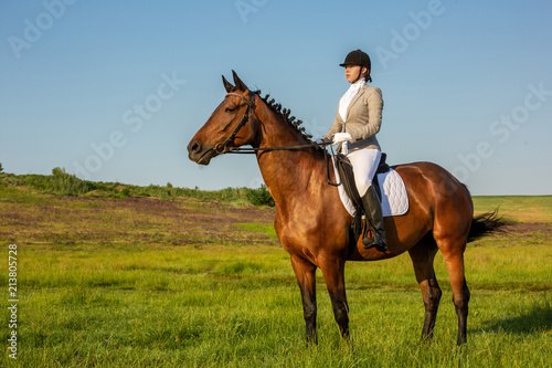 Young woman riding a horse on the green field © nazarovsergey