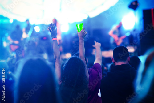 crowd at concert - music festival © Melinda Nagy