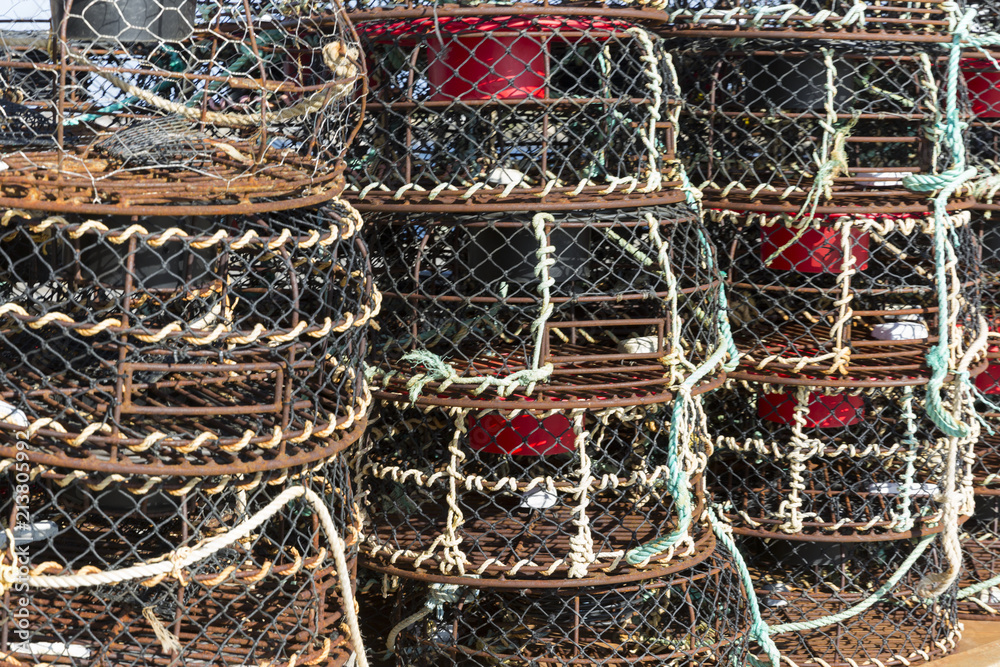 Crayfish Nets Awaiting
