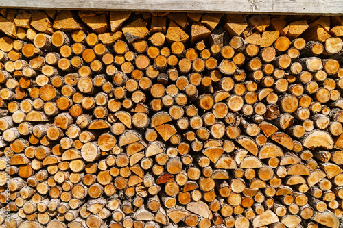 Wall of woodpile in forest. photo