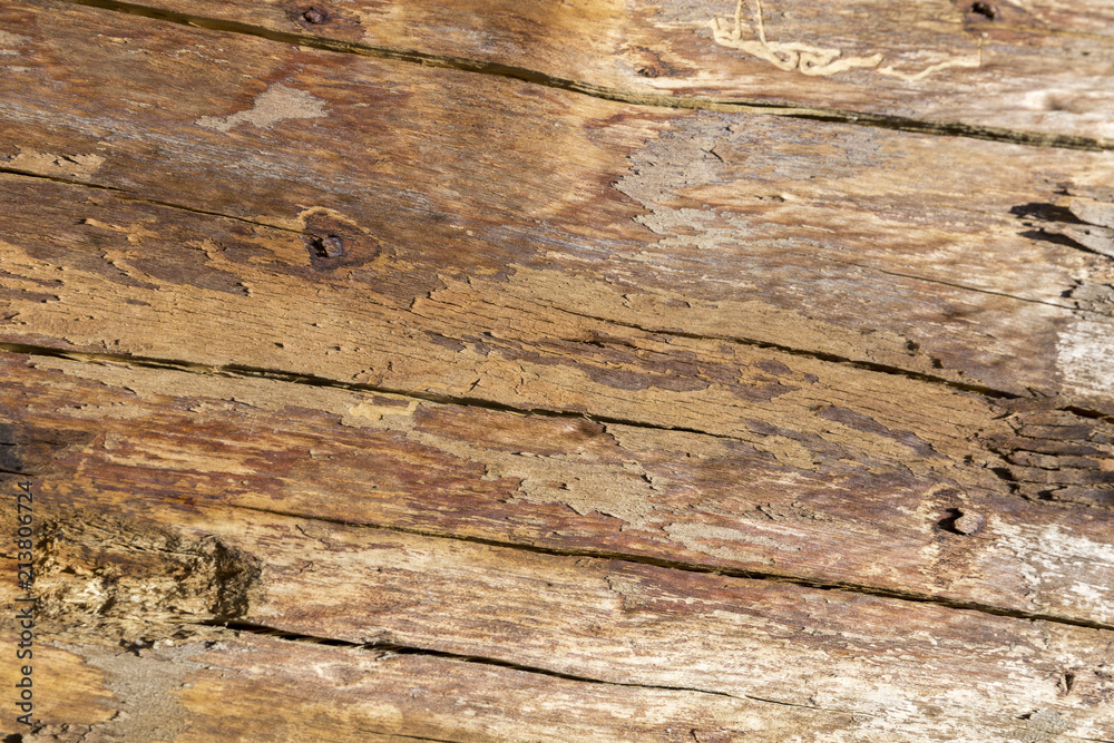 Wooden Table Top Texture Wooden Table Top Texture