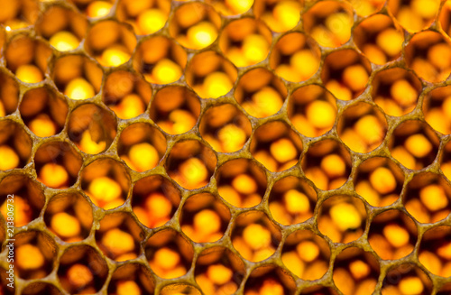 Honeycomb Detail