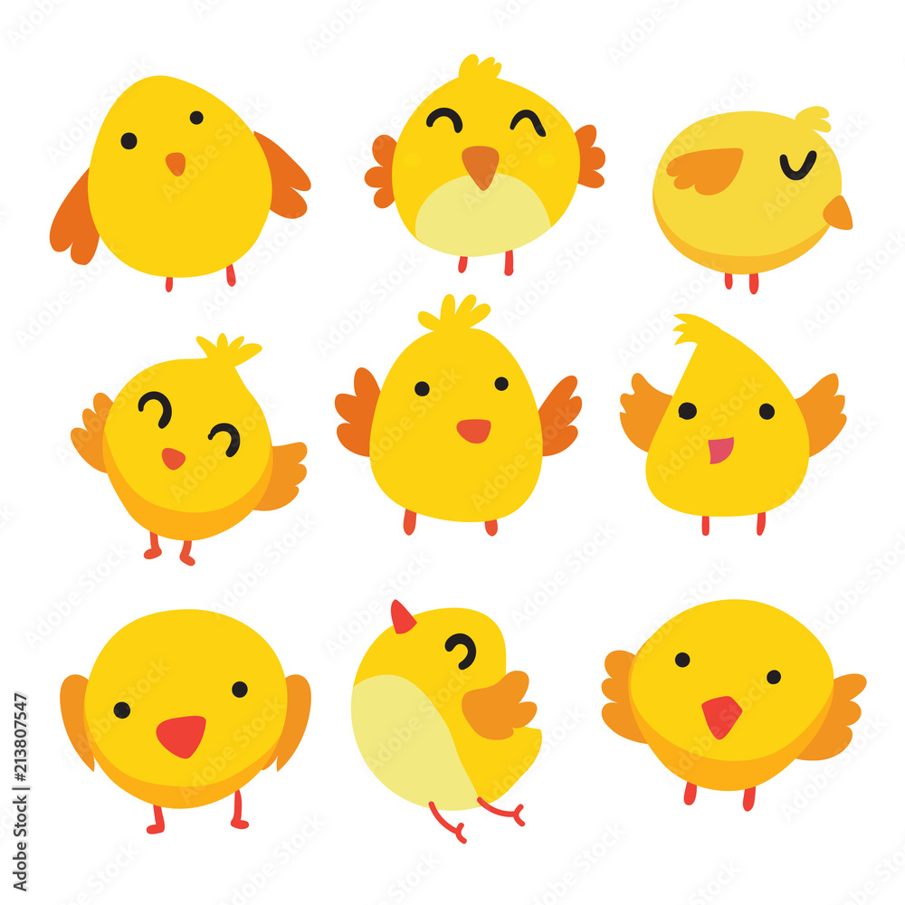 chick vector collection design