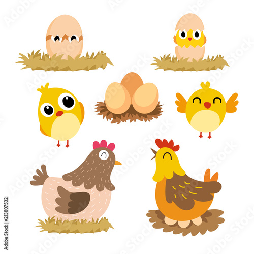 Fotografering chick vector collection design