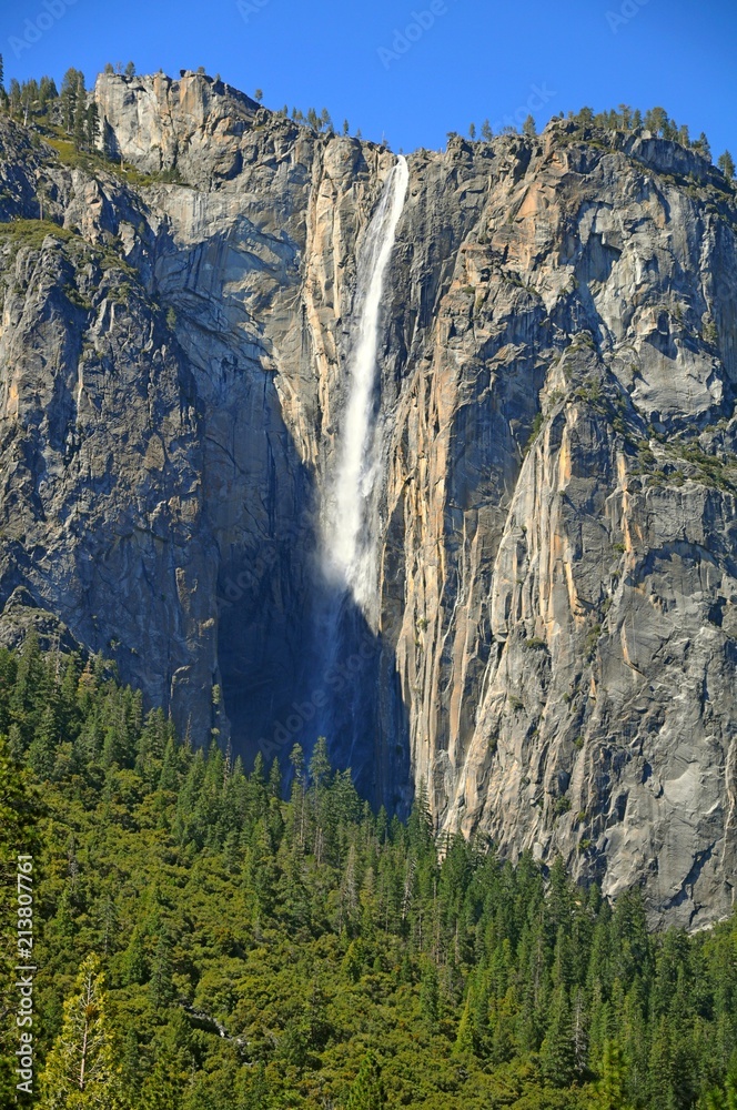 Famous waterfall with trees in Yosemite National Park, California, United States