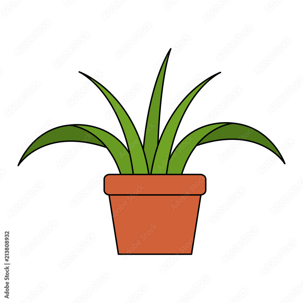 house plant in pot vector illustration design house plant in pot vector illustration design