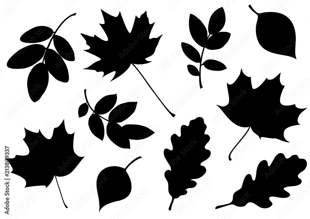 Naklejka premium Wektor zestaw dekoracyjnych liści jesienią sylwetki.