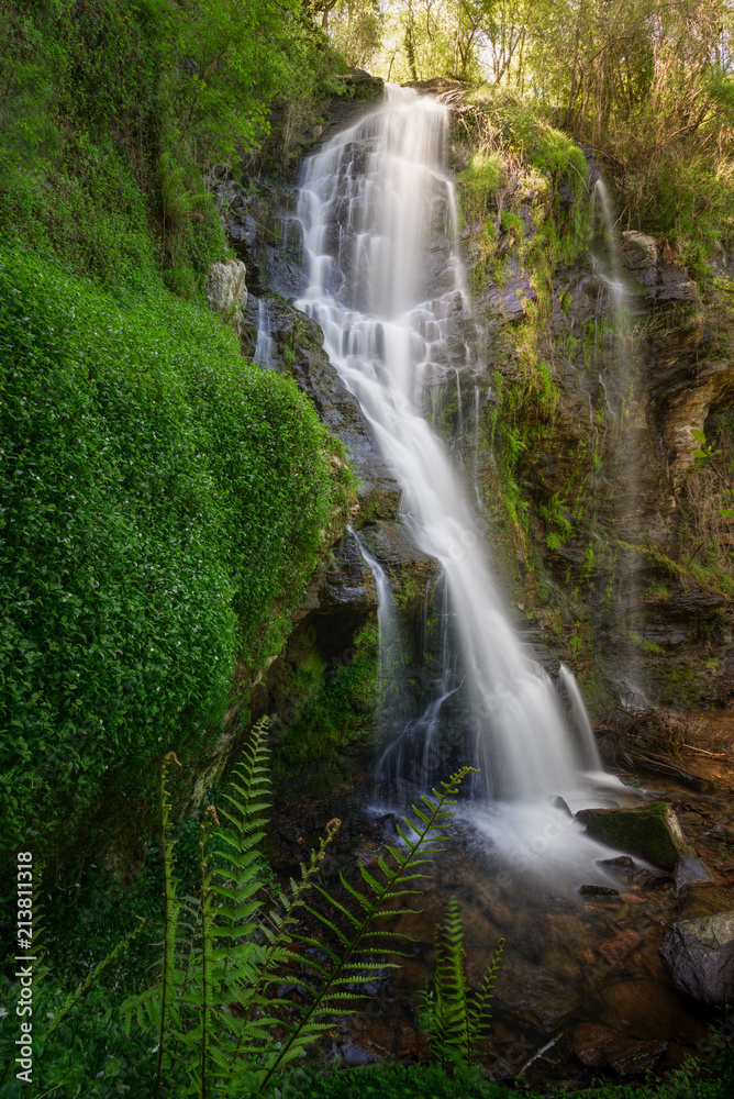 Obraz premium Vegetation in the cliffs of the Hortas waterfall, in Touro, Galicia