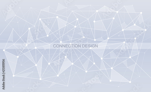 Connessioni web