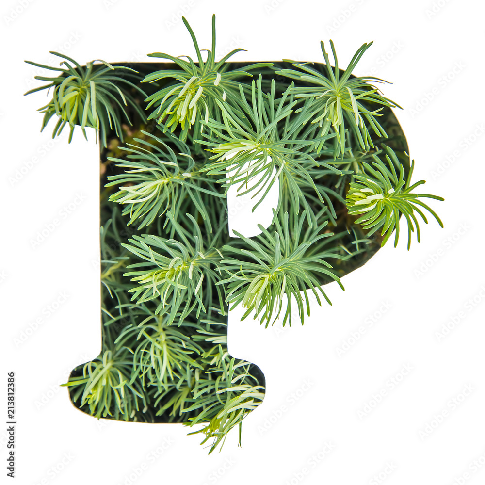 The letter P of the English alphabet from green grass The letter P of the English alphabet from green grass