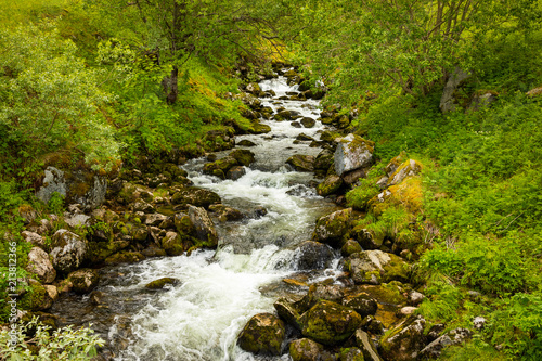 Close-up lovely creek in spring time in Norway