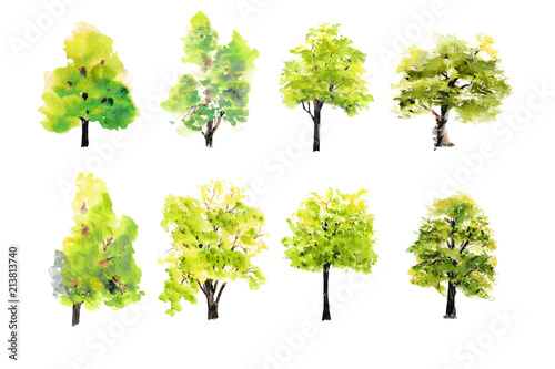 Collection of green trees on white background  watercolor hand painted  tree art
