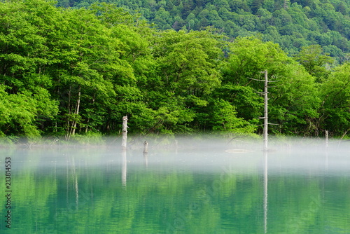 Taisho-ike pond, Kamikochi,Nagano, Japan photo