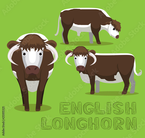 Cow English Longhorn Cartoon Vector Illustration