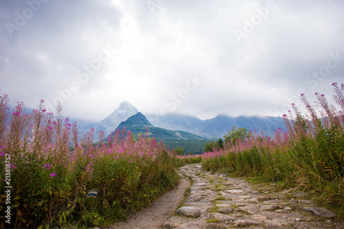 Fototapeta Naklejka Na Ścianę i Meble -  Way in the Tatra mountains