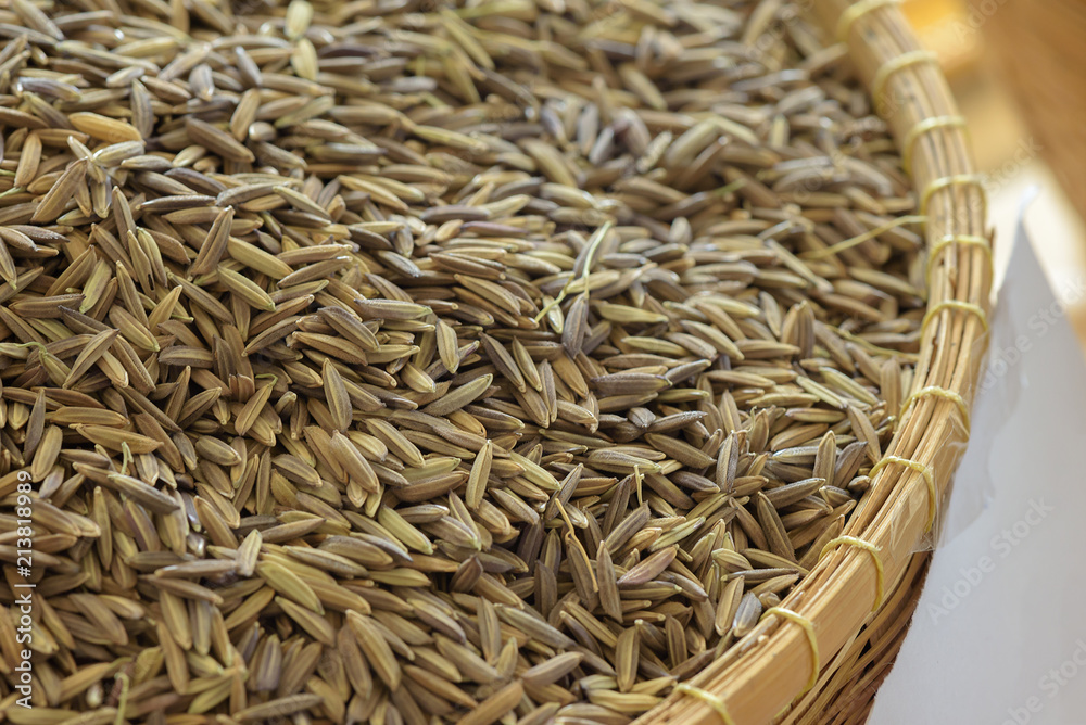 rice berry paddy,thai best quality rice,product of hom nil rice and jasmine rice in bamboo basket rice berry paddy,thai best quality rice,product of hom nil rice and jasmine rice in bamboo basket