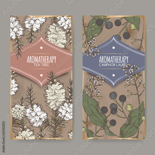 2 labels with tea tree and camphorwood branch color sketch on vintage background.