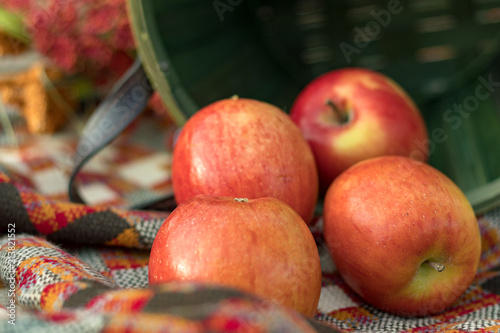 red apples in fall with green basket and blanket