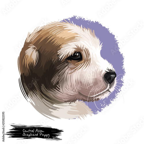 Central Asian shepherd puppy portrait of dog from Asia. Ancient breed domestic canine animal with brown fur. Alabai aziat pet isolated on white background digital art illustration photo