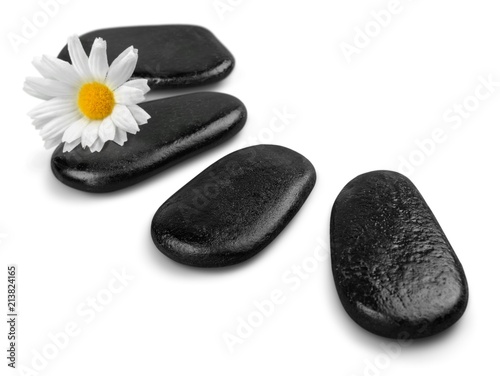 Flower and Pebbles