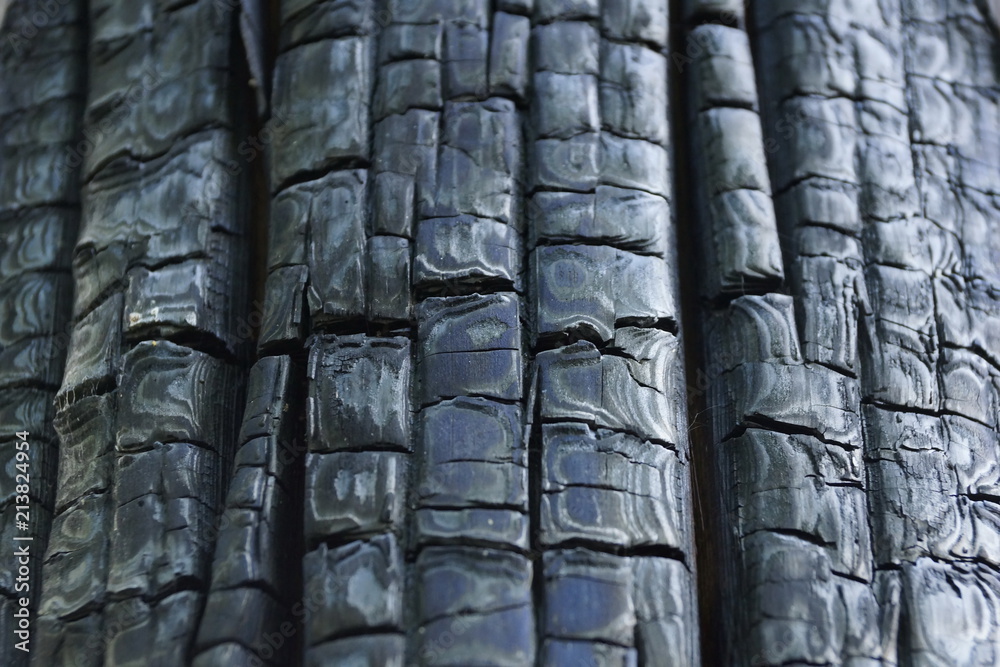 Fototapeta premium charred wood from the fire texture background
