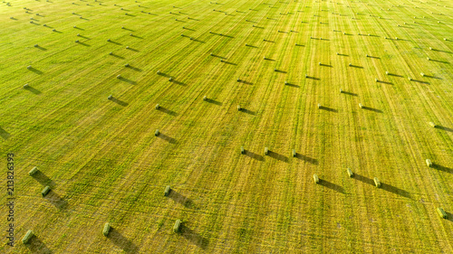 Alfalfa Field with Small Square Bales at Dusk