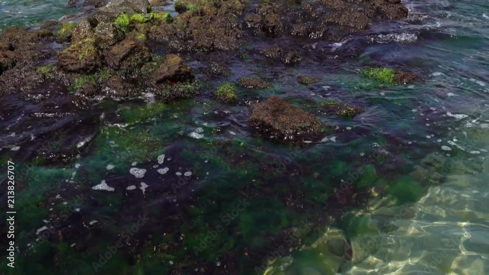 4K view of the sea waves rush into a stone reef covered with algae. 4K view of the sea waves rush into a stone reef covered with algae.