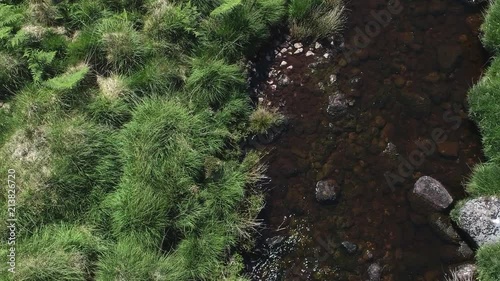 Hovering close-up aerial of a flowing stream surrounded by grassland and shrubs, Dartmoor, England photo