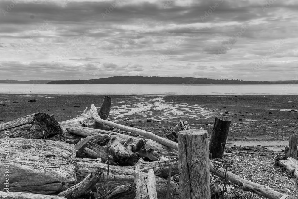 Puget Sound Seascape