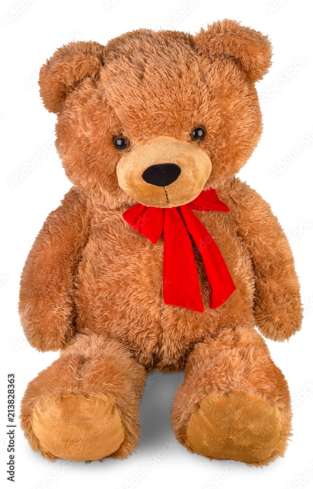 Teddy Bear