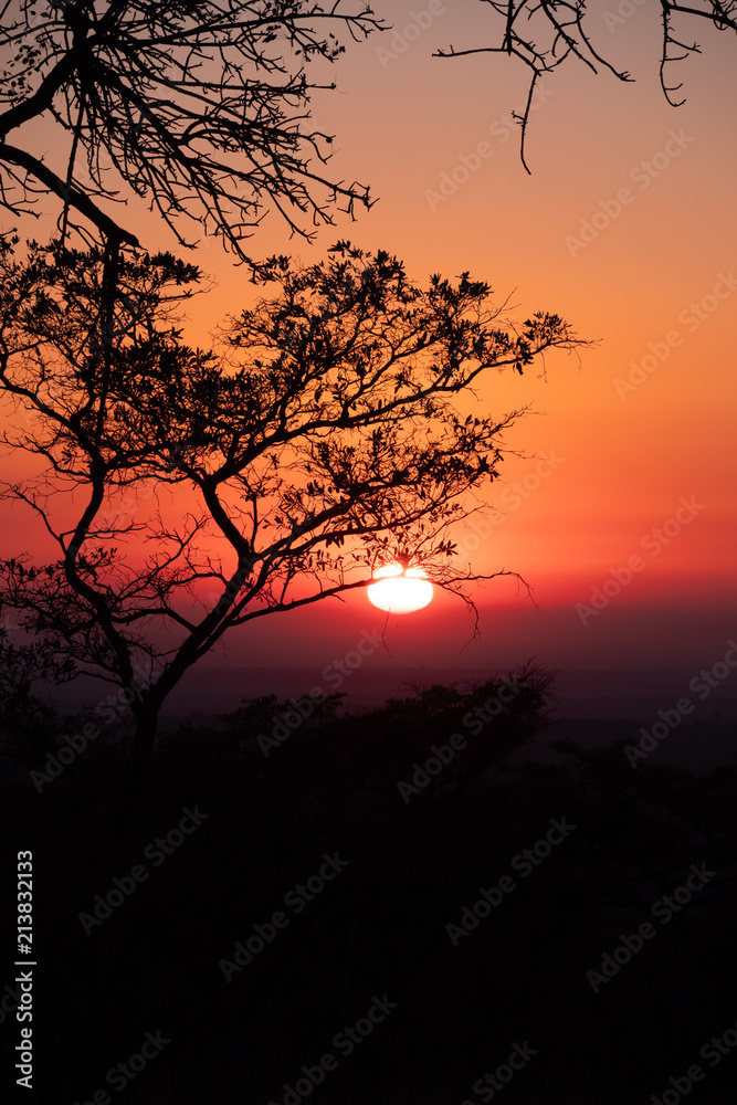 Sunrise in the Kruger National Park, South Africa
