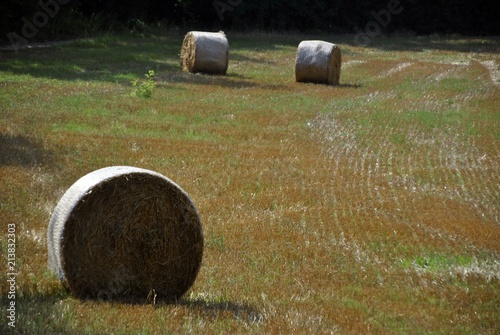 bales of hay in italian green countryside