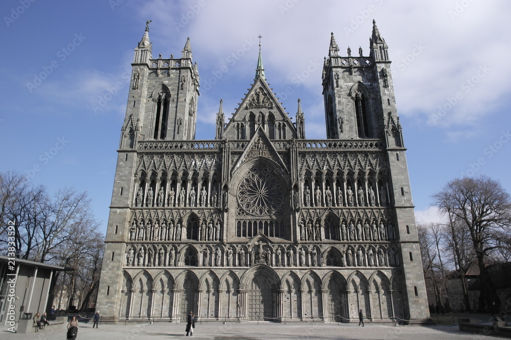 Fototapeta premium cathedral