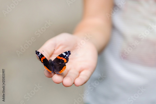 A multicolored butterfly sits on the boy's arm.