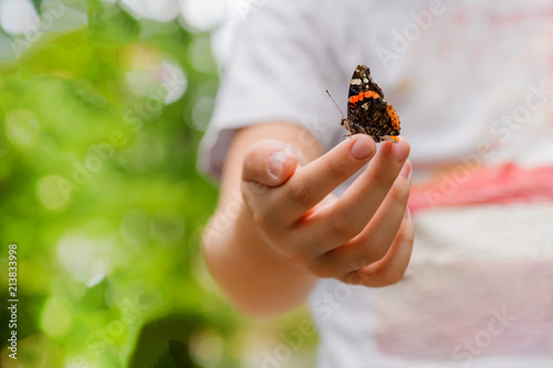 Canvas Print Multicolored butterfly sits on boy's finger